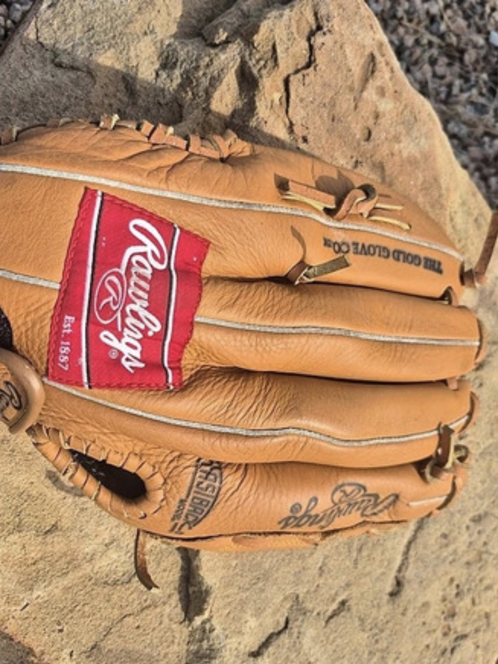 Rawlings Gold Glove Co. Fastback Basket Web Baseball Glove Brown